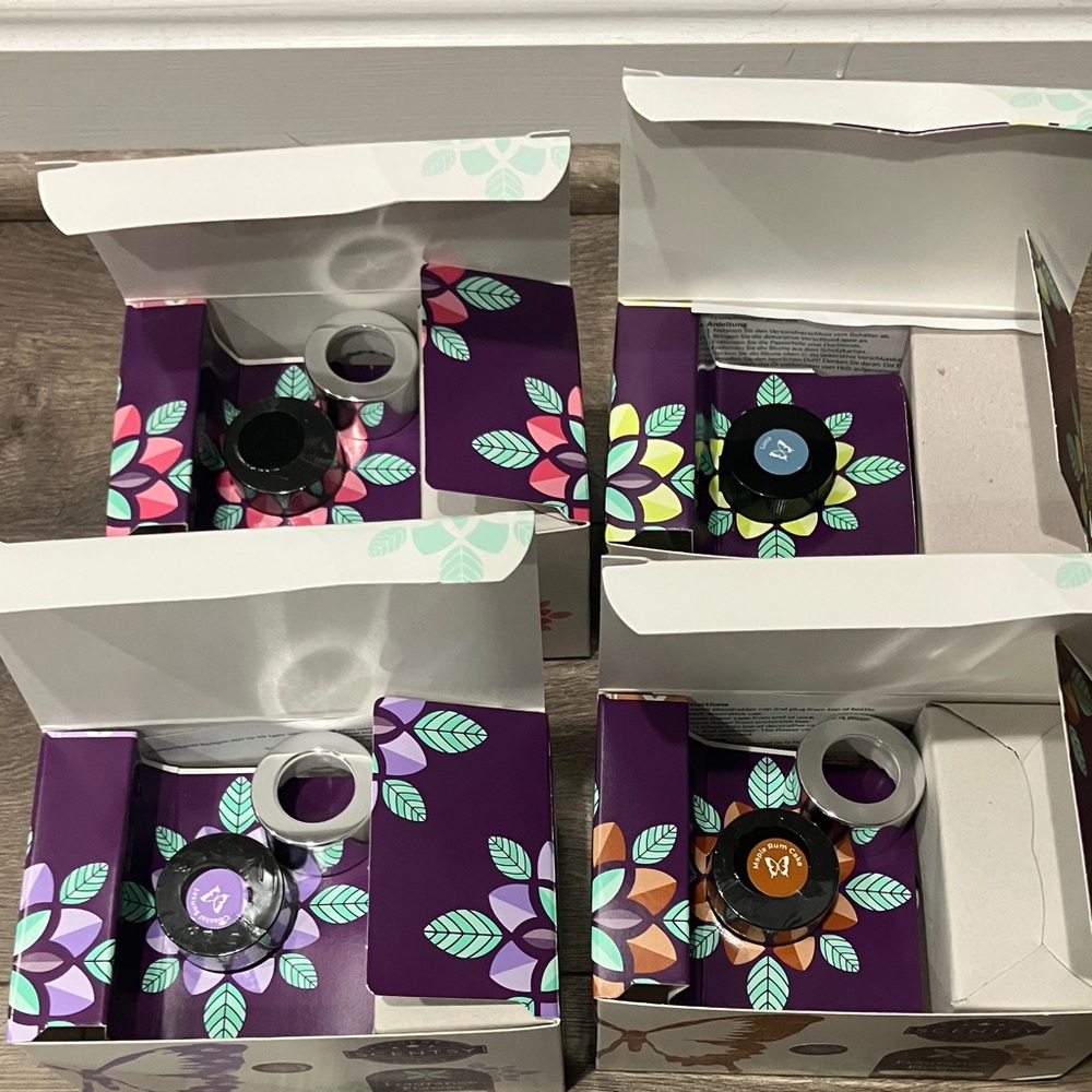 Scentsy Fragrance Flower Set of 4 in Dahlia Darling Flower Design, New in Box - Picture 7 of 7
